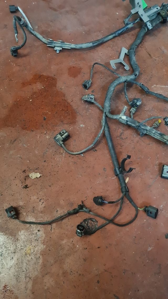 Cableado instalacion motor seat ibiza VAG 1.2 TSI