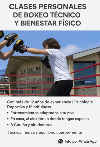 Clases personalesboxeo técnico y bienestar físico