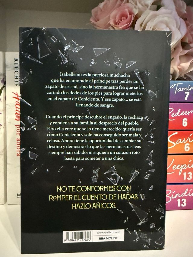 Libro Hermanastra NUEVO