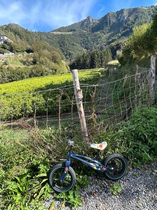 Bicicleta de equilibrio Lionelo Bart Air