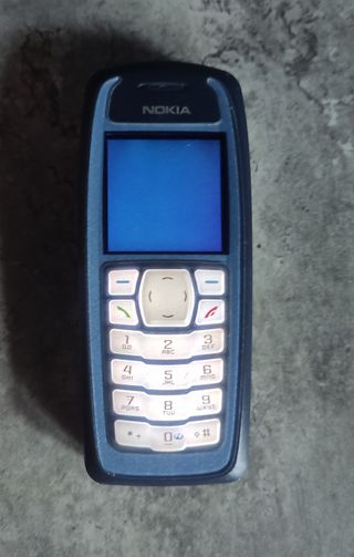 Nokia 3100