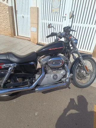 Harley Davidson Sportster 883 Custom