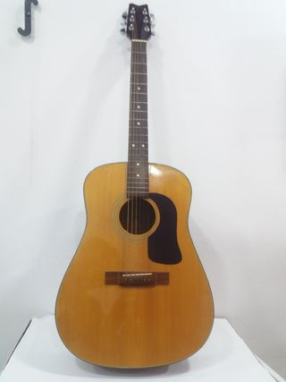 Guitarra George Washburn