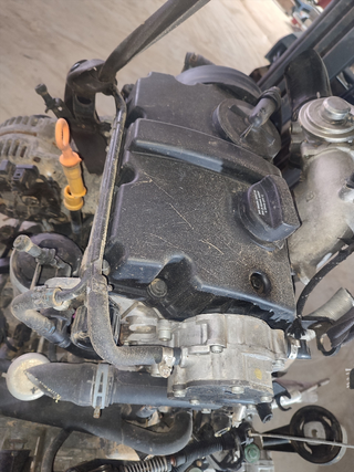 MOTOR COMPLETO SEAT IBIZA (6L1) Fresh | 11.03 - 1