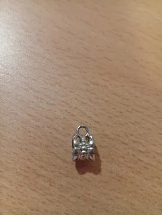 Charm Flor Plata