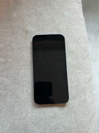 iPhone 12 Pro Max 512GB