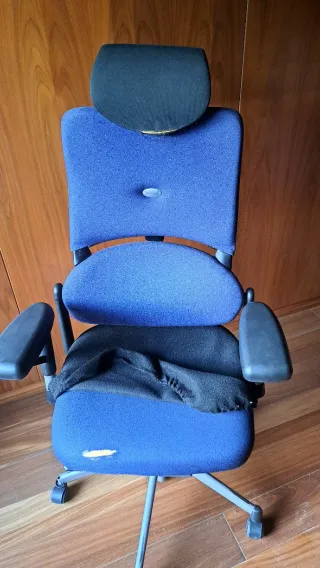  2 sedie ergonomiche Steelcase Please