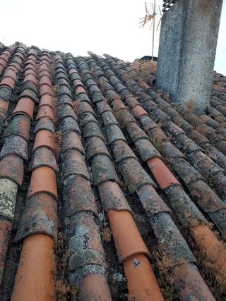 Teja antigua envejecida