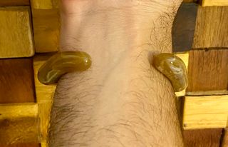 Pulsera Loira