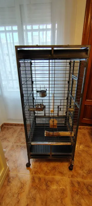 Jaula grande para loro 138 alto x61 anchox56 fondo
