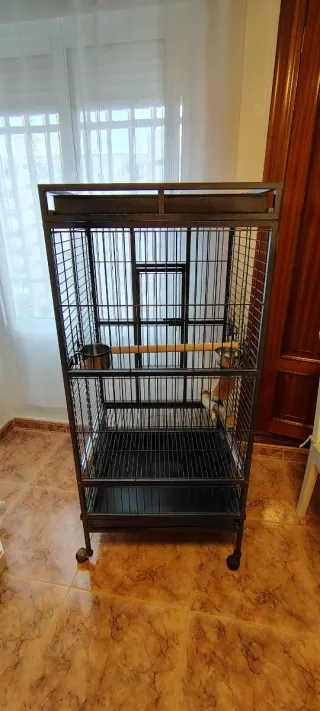 Jaula grande para loro 138 alto x61 anchox56 fondo
