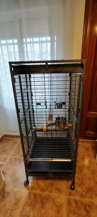 Jaula grande para loro 138 alto x61 anchox56 fondo