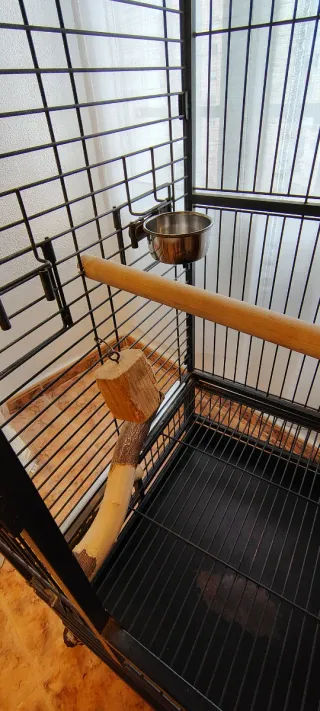 Jaula grande para loro 138 alto x61 anchox56 fondo