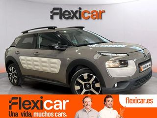 Citroën C4 Cactus PureTech 81KW (110CV) S&S Feel