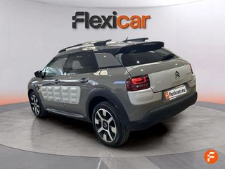 Citroën C4 Cactus PureTech 81KW (110CV) S&S Feel