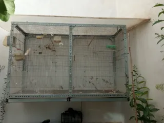 Jaula grande para pájaros con bandejas