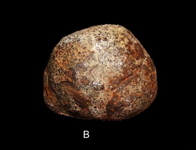 Fossili Lessinia (Veneto)