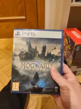 Hogwarts Legacy PS5