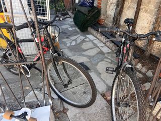 Bicicletas para adultos