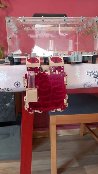 Hormiguero Ant Dimension