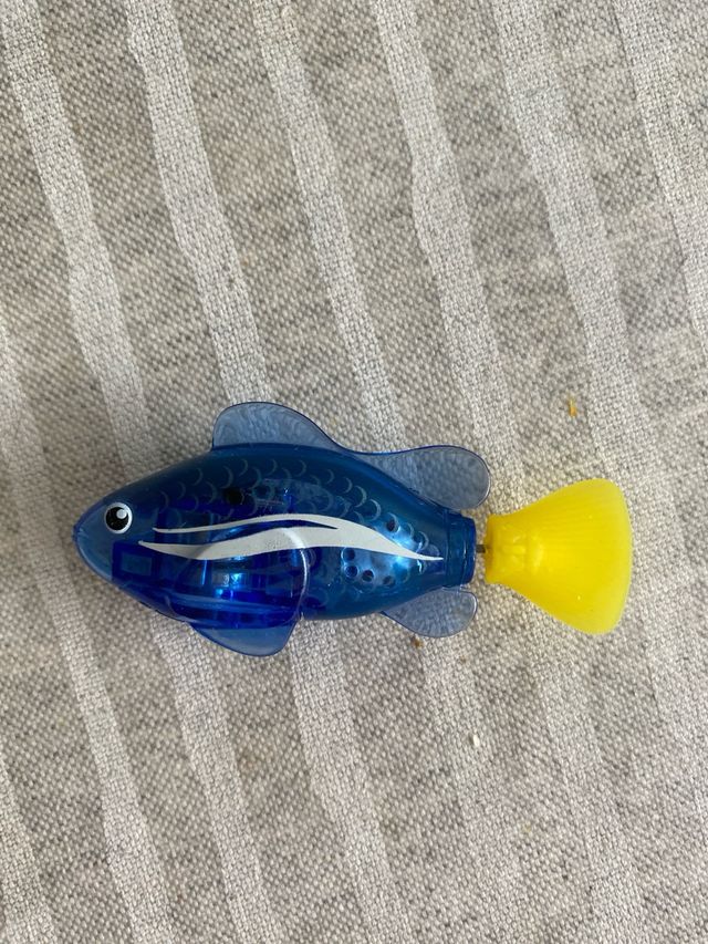 Robofish: 2 peces y pecera.
