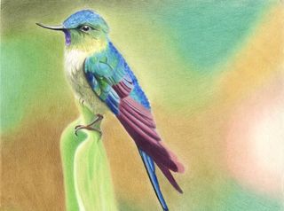 Nature Colours - Ilustración