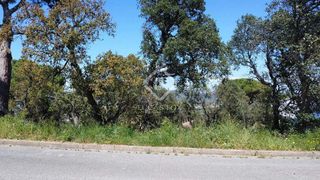 Terreno en venta en Cabanyes-Mas Ambrós-Mas Pallí en Calonge
