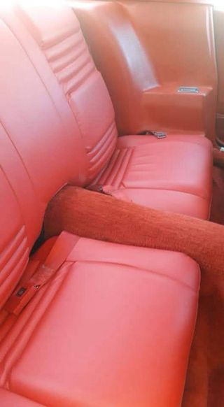 Pontiac Firebird 1981
