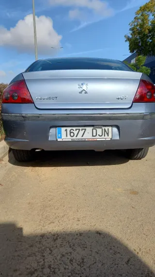 Peugeot 407 2005