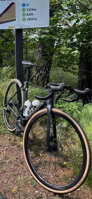 Orbea Orca 2025