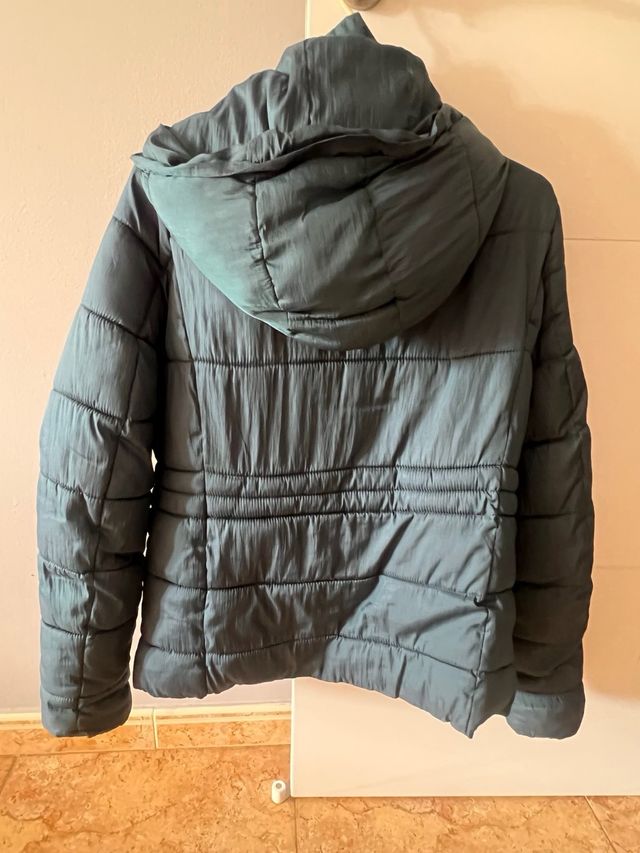 Chaqueta Springfield Talla S Verde Petróleo