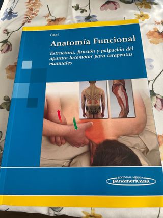 Anatomía funcional