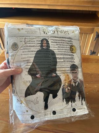 Disfraz Profesor Snape Harry Potter Talla M