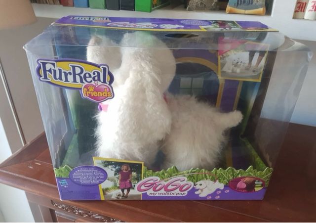 Cane maltese a batterie