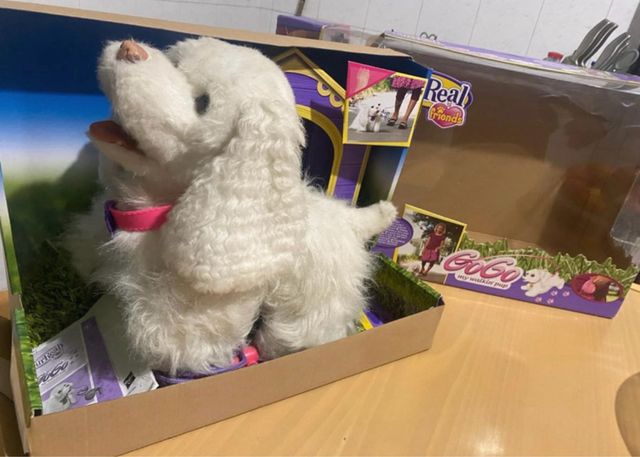 Cane maltese a batterie