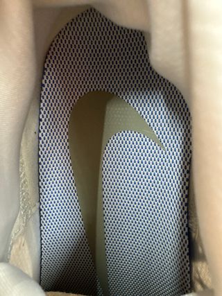 Nike Pegasus Trail 5 Gore-Tex Taglia 45