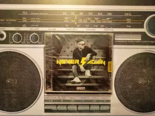 Briga - Never Again CD Prima Stampa 2015 Sigillato