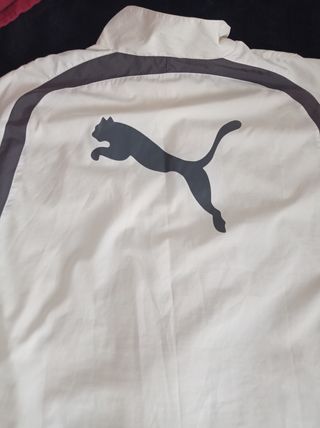 Chándal Puma Blanco y Gris de hombre
