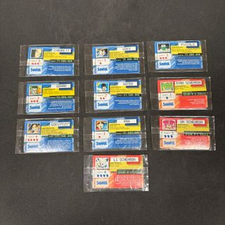 Carte Dragon Ball GT 1996 Santal