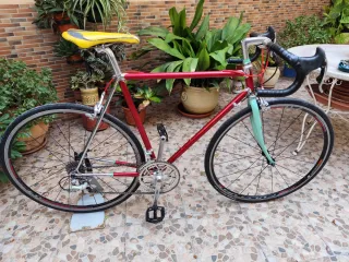 Bicicleta de carretera 700