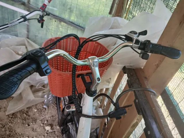 Bicicletta elettrica DYU bianca