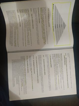 Dirección de empresas UNED (apuntes impresos).