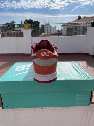 Zapatillas Nike Dunk Low Pro (Talla 43)