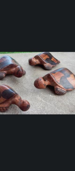 6 Tortugas Madera Noble Tailandesa