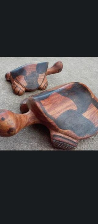 6 Tortugas Madera Noble Tailandesa