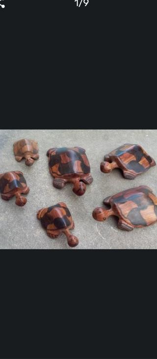 6 Tortugas Madera Noble Tailandesa