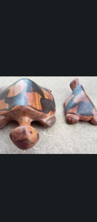 6 Tortugas Madera Noble Tailandesa