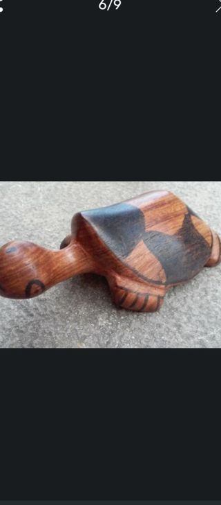 6 Tortugas Madera Noble Tailandesa