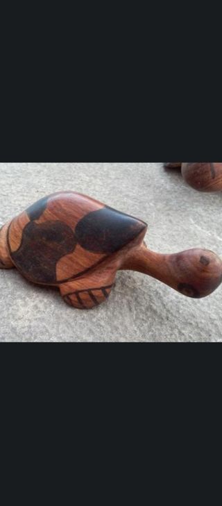 6 Tortugas Madera Noble Tailandesa