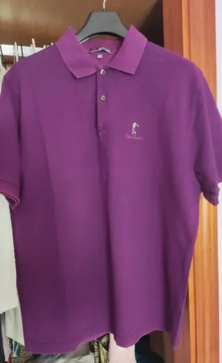 Polo Pierre Cardin Morado